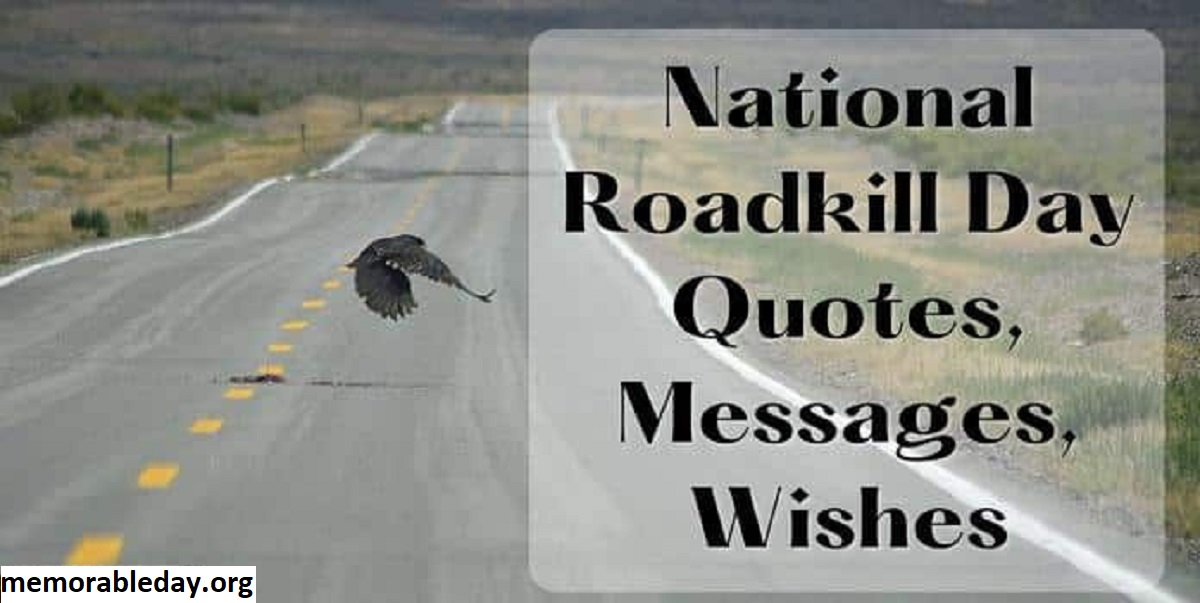 National Roadkill Day Pic