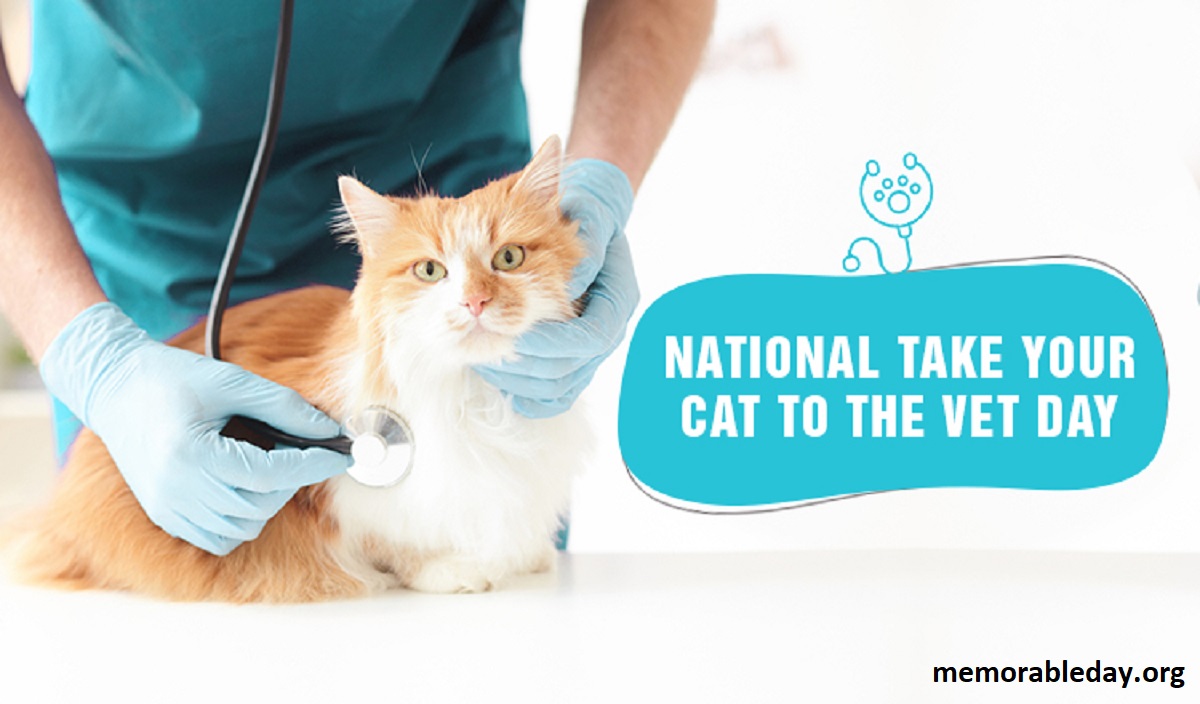 National Take Your Cat to the Vet Day Pic