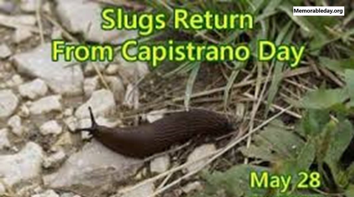 Slugs Return From Capistrano Days