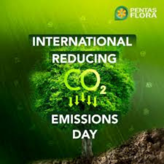 Celebrate International Reducing CO2 Emissions Day on January 28