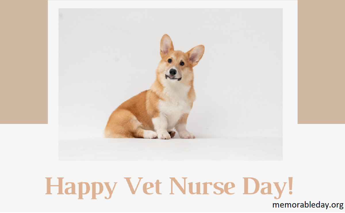 Vet Nurse Day Pic