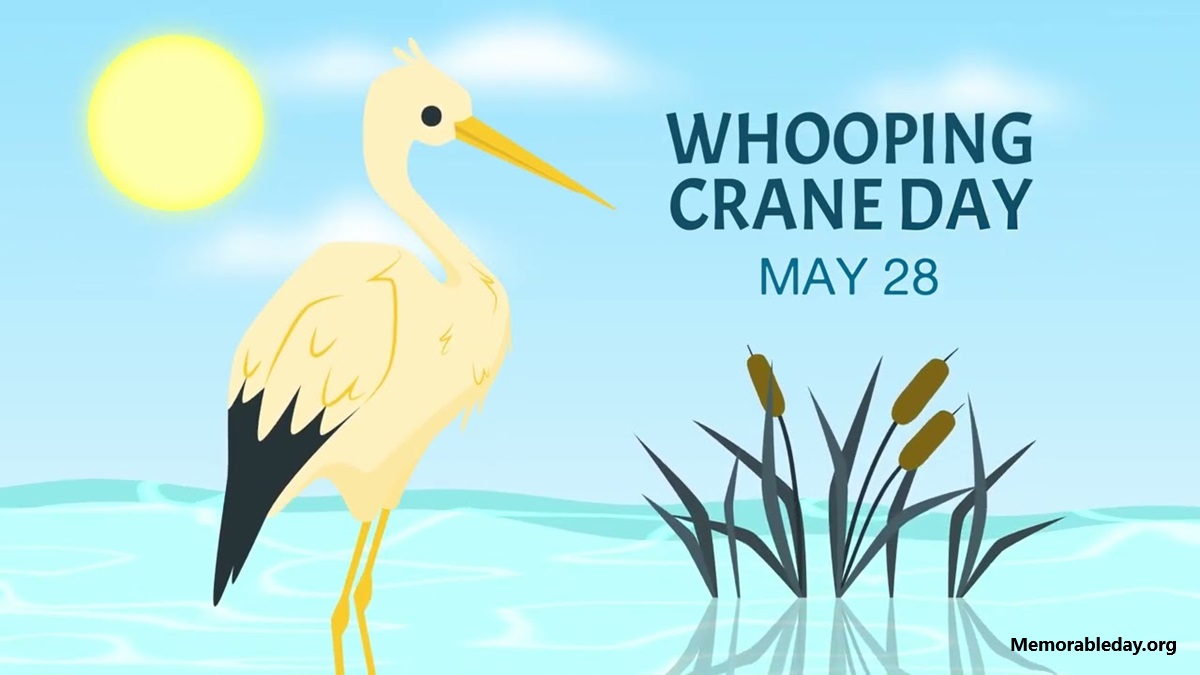 Whooping Crane Days