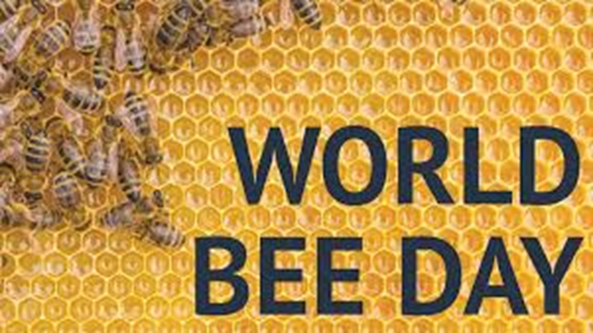 World Bee Day