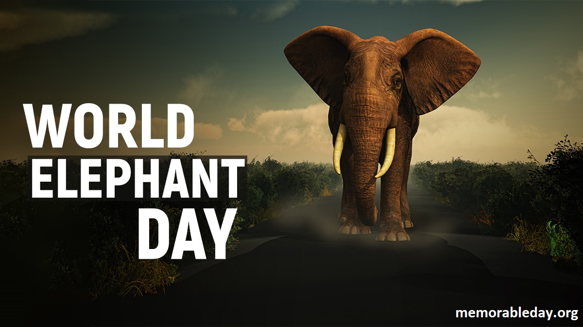 World Elephant Day Pic