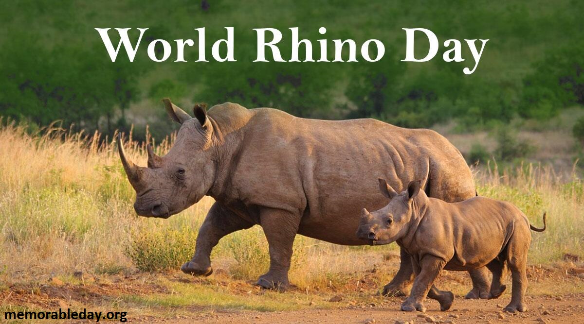 World Rhino Day Pic