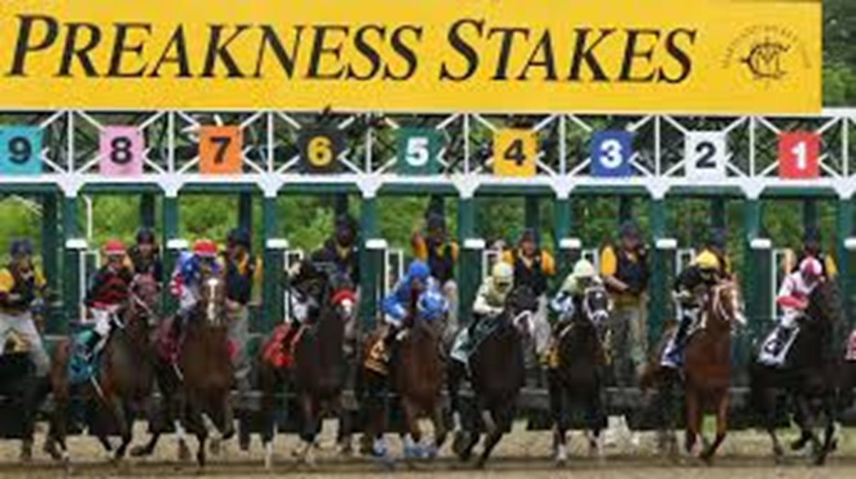 preakness stakes